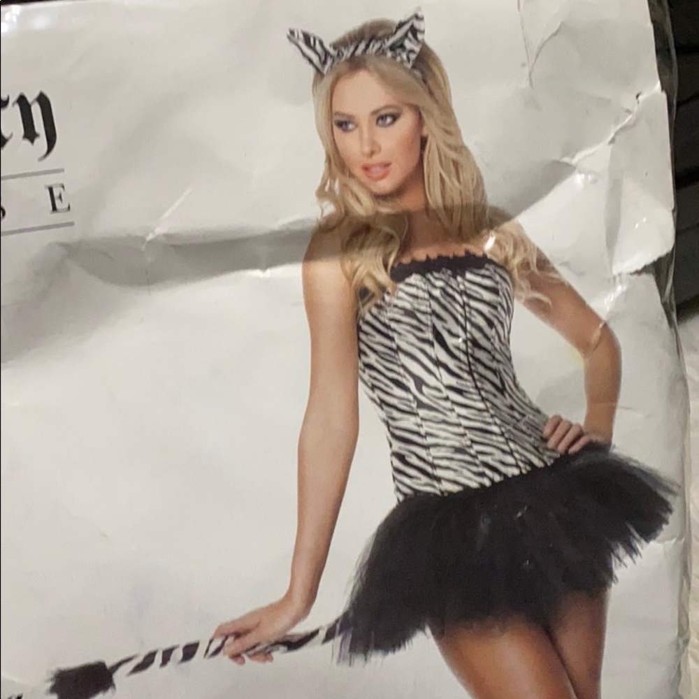 Zebra costume